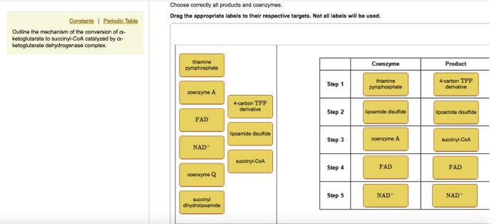 Coenzymes nexus