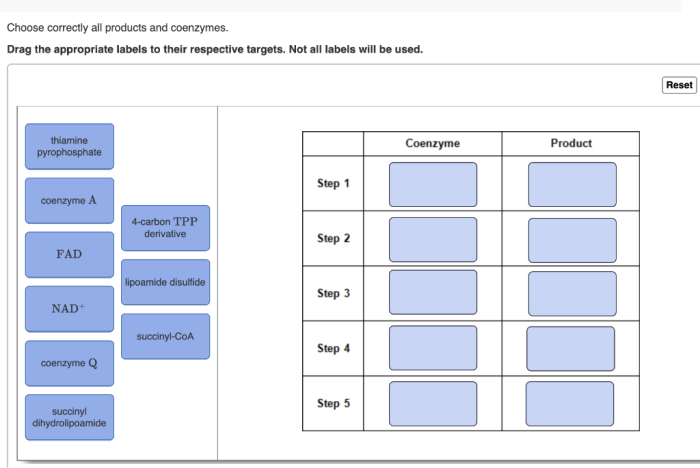 Choose correctly all products and coenzymes