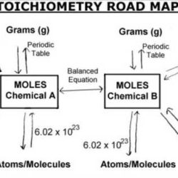 Chemistry moles packet answer key