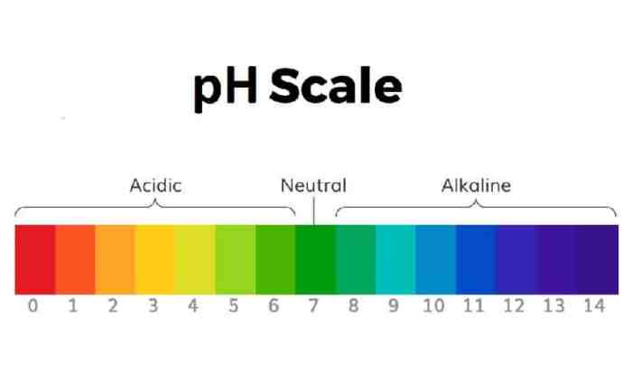 On the scalp lighteners have a ph of