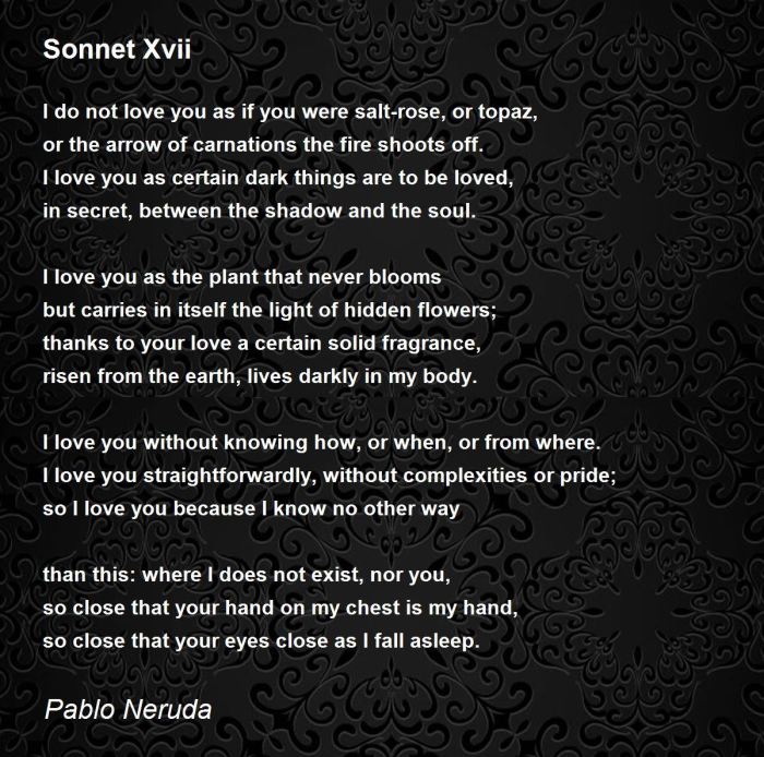 Poem 20 pablo neruda english