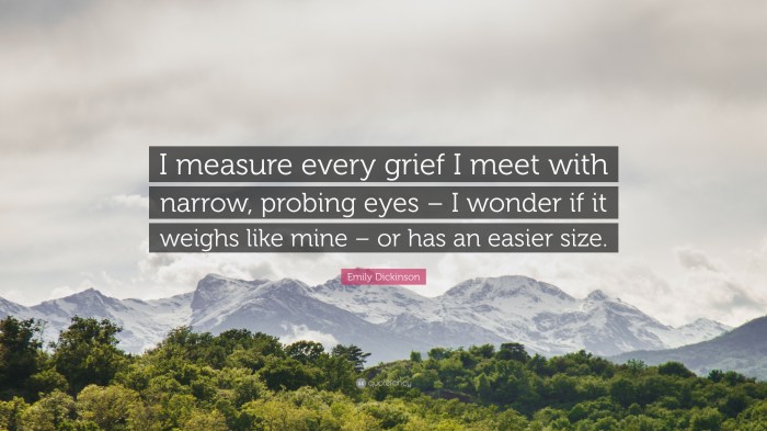 I measure every grief i meet by emily dickinson