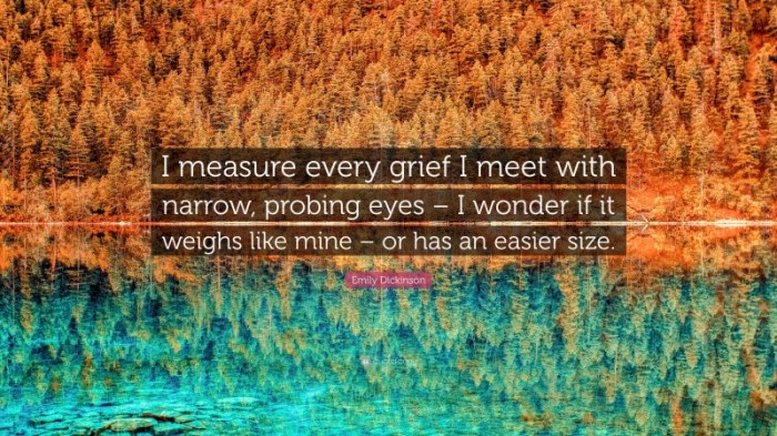 I measure every grief i meet by emily dickinson