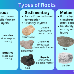 What is the texture of inorganic land-derived sedimentary rocks