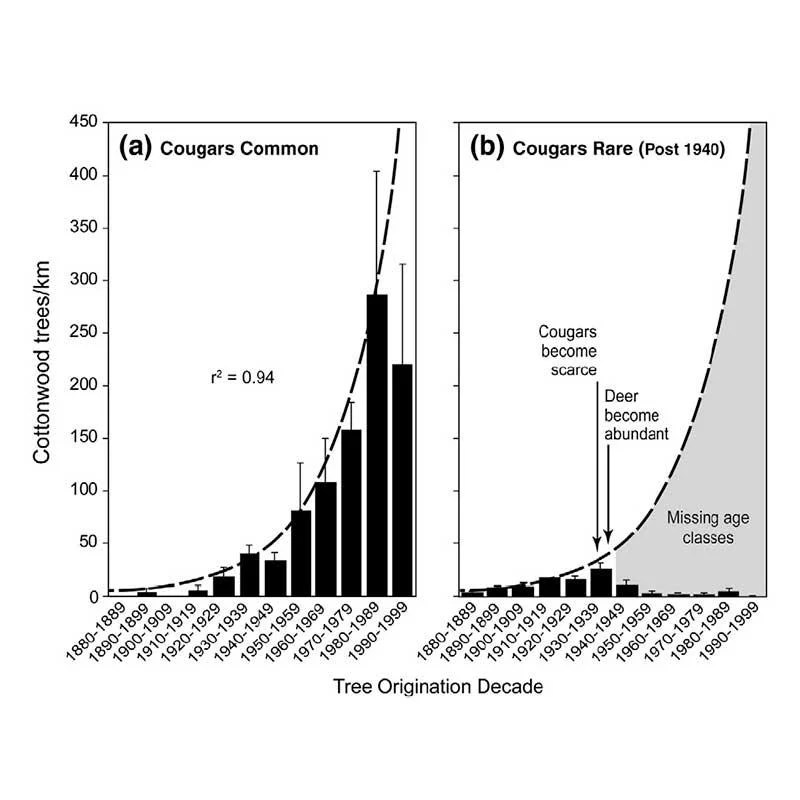 Liz hadly tracks the impact of climate change in yellowstone