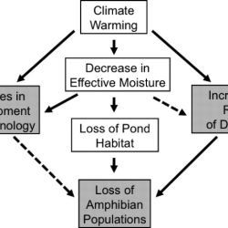 Liz hadly tracks the impact of climate change in yellowstone