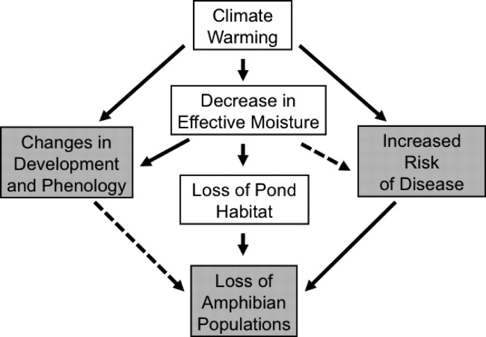 Liz hadly tracks the impact of climate change in yellowstone